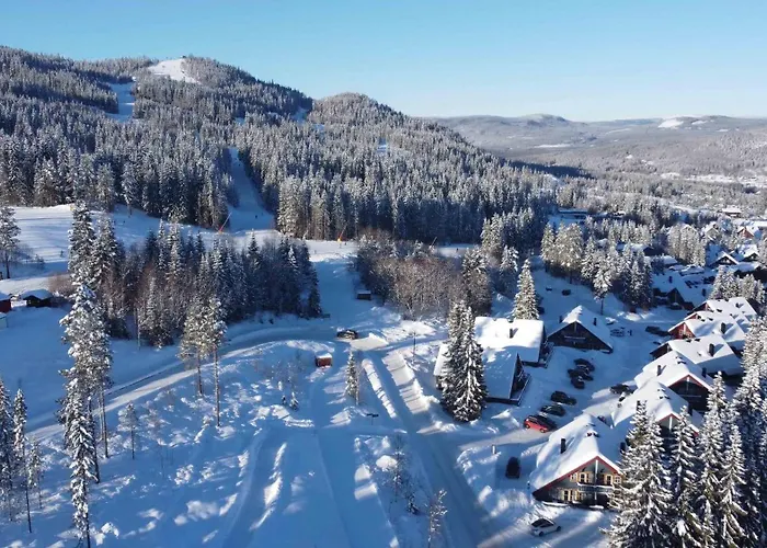 Bakkebyvegen 13b Apartment Trysil